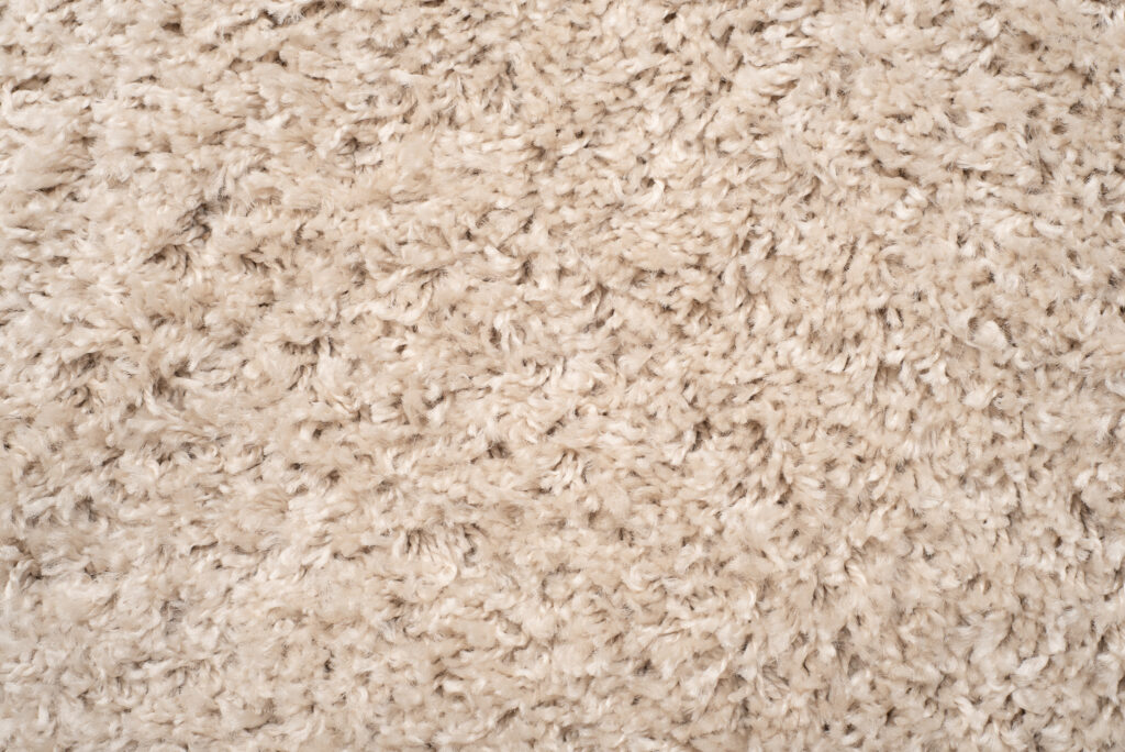 Teppich Boho mit Fransen Beige Shaggy