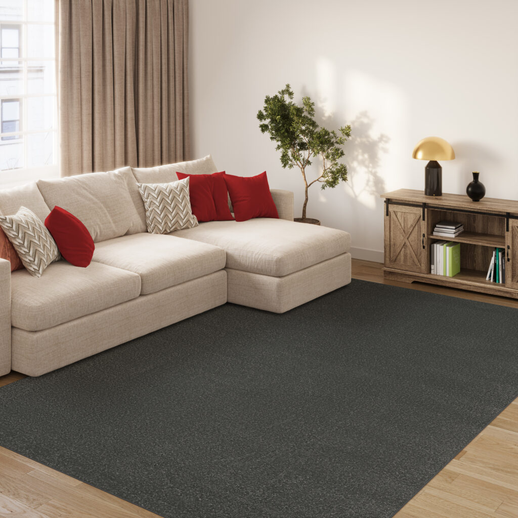 Teppich Mono Indoor Outdoor Dunkel Grau