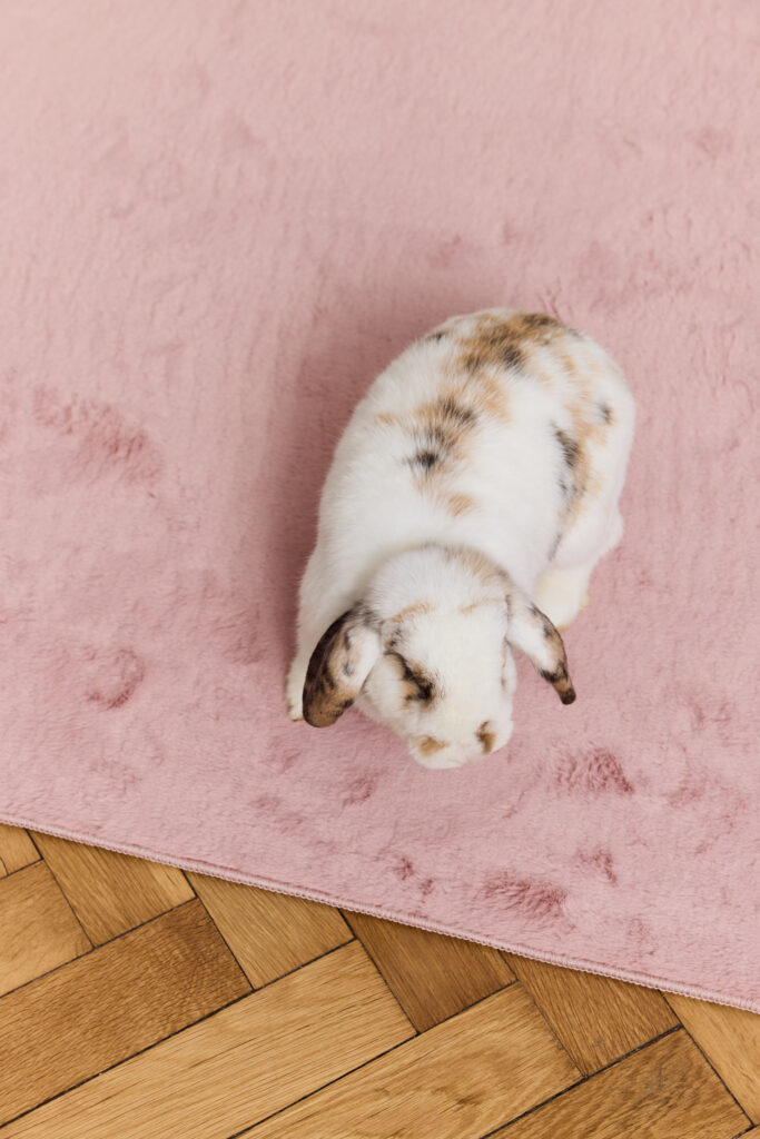 Teppich Lumi Rosa Rutschfest
