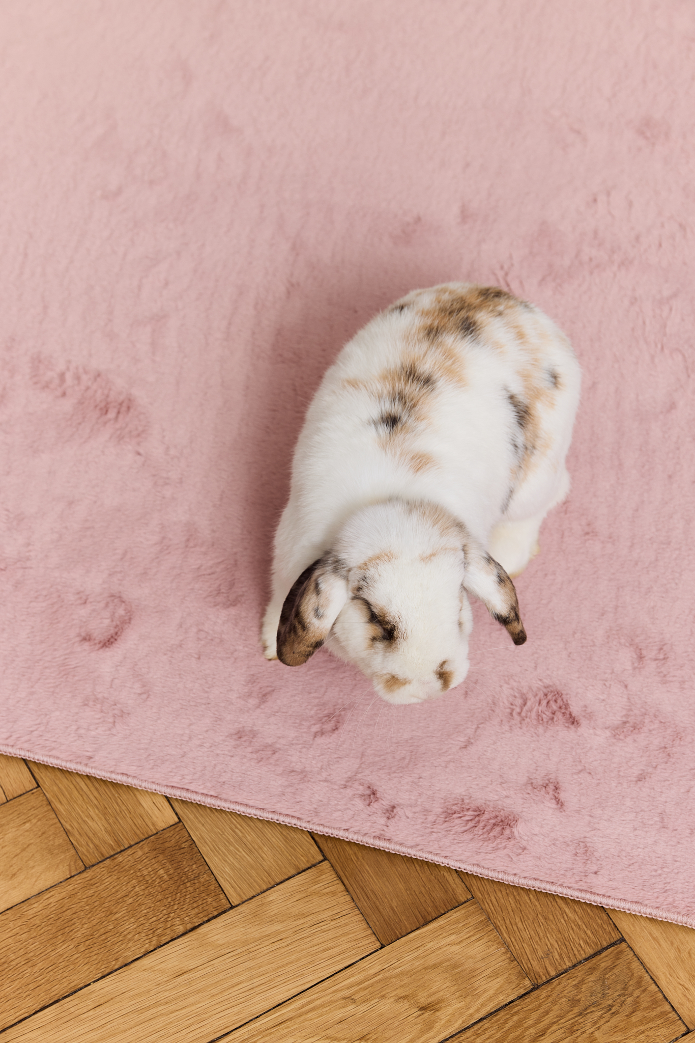 Teppich Lumi Quadratisch Rosa Rutschfest